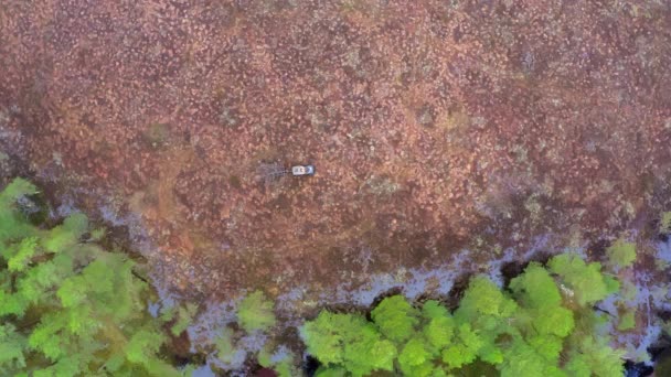 Top Drone Footage Forester Drives Swamp Bog Marsh Soil Saving — Stock Video