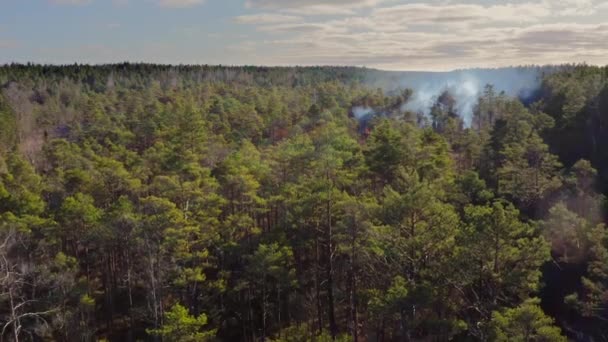 Vista Aérea Fogo Florestal Fumo Espesso Sobe Acima Das Árvores — Vídeo de Stock