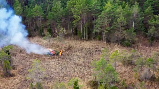 空中风景 森林大火 浓烟从树上升起 通过焚烧灌木来管理自然保护区 一片长满松树的沼泽地 Prores视频 高质量的4K镜头 — 图库视频影像