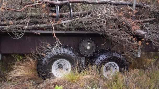 Specialiserade Lätta Skogsmaskiner För Arbete Träsk Fyrhjuling Anpassad För Skonsam — Stockvideo