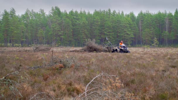 Forester Drives Bog Specialized Marsh Soil Saving Quad Bike — Stock Video