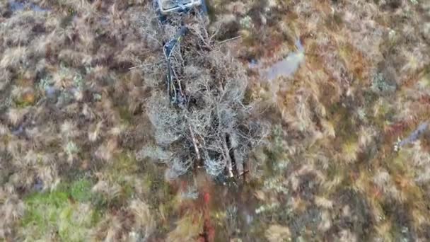 Leśnik Przejeżdża Przez Bagno Wyspecjalizowanym Quadem Oszczędzającym Glebę Bagnach — Wideo stockowe