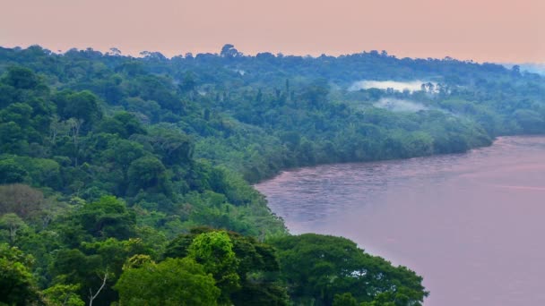 Gyönyörű Táj Amazon Esőerdő Yasuni Nemzeti Park Ecuador Dél Amerika — Stock videók