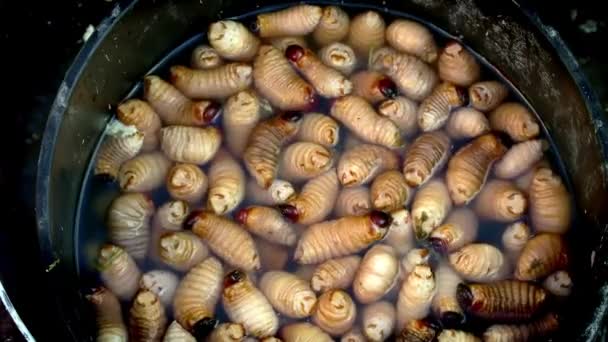 棕榈虫 在厄瓜多尔当地市场与水托盘 优质Fullhd影片 — 图库视频影像