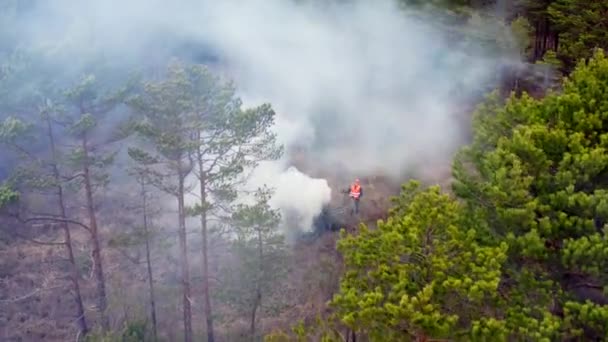 沼泽生境护理的空中景观 砍倒灌木丛 烧毁树枝 篝火中浓烟从树梢上方升起 高质量的4K镜头 — 图库视频影像