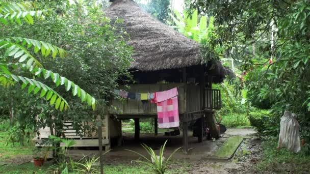 Ein Traditionelles Haus Der Ureinwohner Des Ecuadorianischen Regenwaldes Südamerikanischer Regenwald — Stockvideo