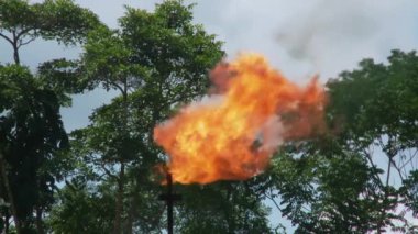 Petrol sahasında tehlikeli gazlar patlıyor. Ekvador 'daki Amazon Yağmur Ormanı' nda Endüstriyel Yanma. Güney Amerika 'da petrol çıkarma endüstrisi. Yüksek kaliteli FullHD görüntüler