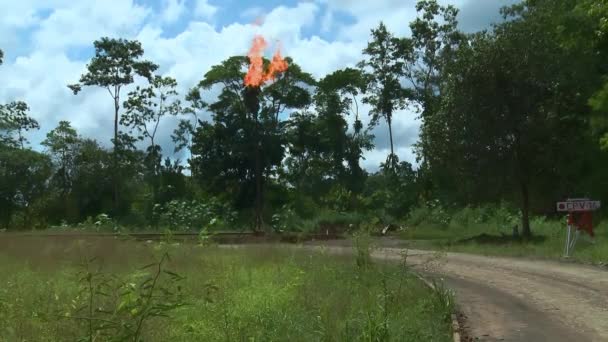 Quema Gases Peligrosos Campo Petrolífero Combustión Industrial Gas Asociado Selva — Vídeos de Stock