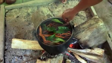 Ekvador yağmur ormanlarında Ayawaska yapmak. Ayavaska yapmak için gereken malzemeler Ekvador 'un yerli halkının ocağında bir kazanda kaynatılır..