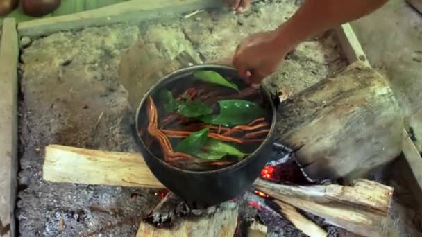 Robiąc Ayawaskę Ekwadorskim Lesie Deszczowym Składniki Potrzebne Produkcji Ayavasca Gotowane — Wideo stockowe