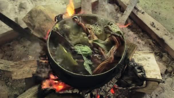 Ayawaska Maken Het Ecuadoraanse Regenwoud Ingrediënten Die Nodig Zijn Ayawasca — Stockvideo