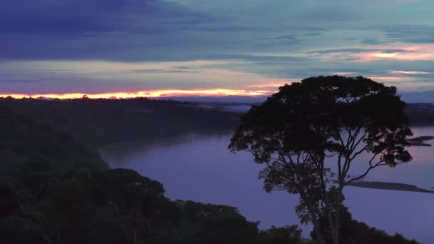 日没の国立泰国立公園の風景 世界最大の生物多様性を持つ国立公園 ナポー エクアドル 南アメリカ 高品質のフルHd映像 — ストック動画