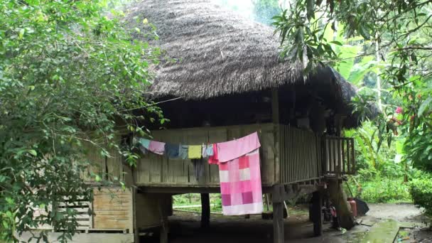 Casa Tradicional Los Indígenas Cuenca Amazónica Ecuatoriana — Vídeos de Stock