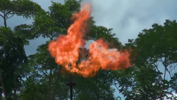 Quema Gases Peligrosos Campo Petrolífero Combustión Industrial Gas Asociado Selva — Vídeos de Stock