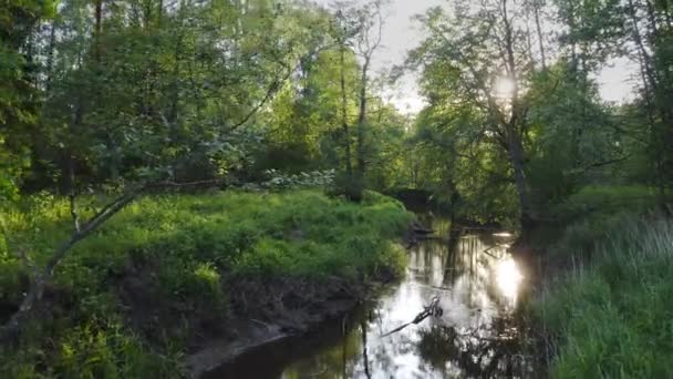 Lage Vlucht Een Natuurlijke Rotsachtige Zalmrivier Europa Milieuconcept — Stockvideo