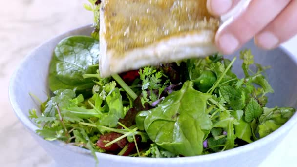 Kokken Serverer Porsjon Med Salat Hvit Fisk Stekt Zander Salat – stockvideo
