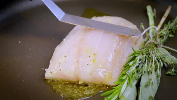 White Fish Pike Perch Zander Together Herbs Fried Pan Hot — Stock Video