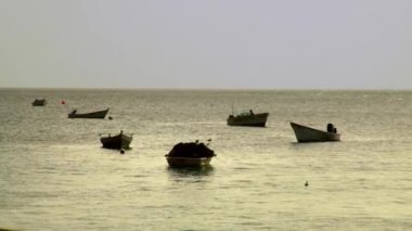 Trinidad ve Tobago, balıkçı tekneli körfez, Karayip Denizi. Yüksek kalite, ProRes FullHD görüntüleri