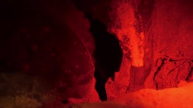 Leatherback deniz kaplumbağası Tobago sahilinde kırmızı ışıkta yumurtalarını bırakıyor. Nesli tükenmekte olan nadir bir hayvan. Doğa koruma. Tobago ve Trinidad. Karayip Bölgesi.