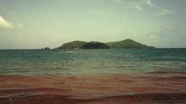 Trinidad ve Tobago. Adalı Karayip manzarası ve deniz suyunda kırmızı-kahverengi algler. Yüksek kaliteli FullHD görüntüler