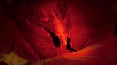 Yumurtaları bıraktıktan sonra deniz kaplumbağası deliği yumurtalarla kapatıyor. Yüksek kaliteli FullHD görüntüler