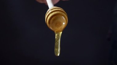 Taze bal damlıyor ya da tahta bal kaşığından dökülüyor. Yüksek kaliteli FullHD görüntüler