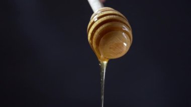 Taze bal damlıyor ya da tahta bal kaşığından dökülüyor. Yüksek kaliteli FullHD görüntüler