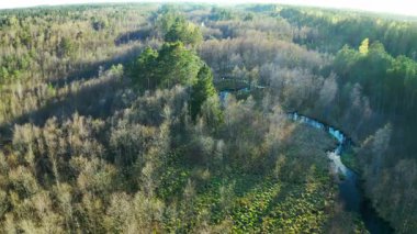 Hava aracı, doğal akan nehrin üzerinden bataklık ormanına doğru ateş etti. Bir kuş çerçevenin içinden uçar. Yüksek kalite 4k görüntü