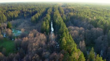 Hava görüntüsü. Eski ormanlar ve tarlalar bahar selleriyle dolup taştı. Yüksek kalite 4k görüntü