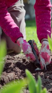 Dikey video. Küçük kürekli bahçıvan dekoratif bir bitki dikmek için bir yatak kazıyor. Baharda bahçıvanlık. Yavaş çekim 100 fps. Yüksek kaliteli FullHD görüntüler