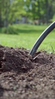 Dikey video. Küreğin ucunu kapat. Bahçıvan baharda kürekle çiçek dikmek için bir yatak hazırlar. Yavaş çekim 100 fps. Yüksek kaliteli FullHD görüntüler