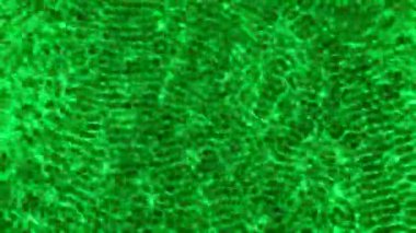 Yeşil girdap, titreşen su yüzeyi ses titreşimleri tarafından yaratıldı. Yüksek kalite 4k görüntü