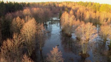 Hava görüntüsü yavaş çekim ileri. Büyük bir orman alanı bahar selleri tarafından sular altında kaldı. Yüksek kalite 4k görüntü