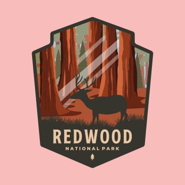 Sekoya Ulusal Park Yaması logo vektör sembolü çizimi, California Ormanı amblem şablonu