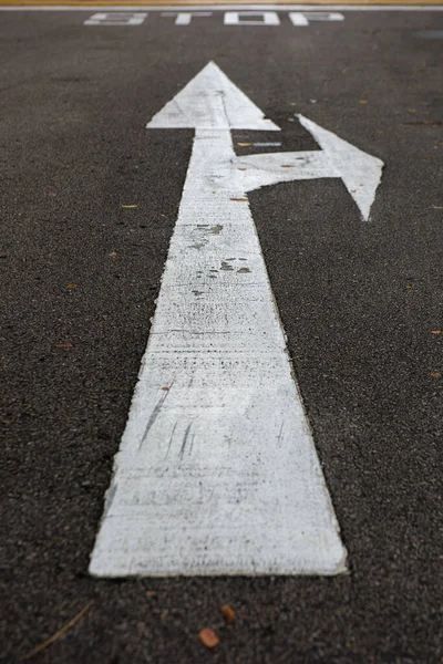 White arrow traffic street sign painted on the asphalt road in school, showing straightforward and turning to the right.