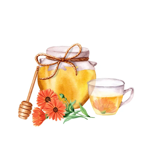 Honey jar and glass cup with calendula tea. Hand drawn watercolor composition isolated on white background. For clip art, posters, advertisement, package