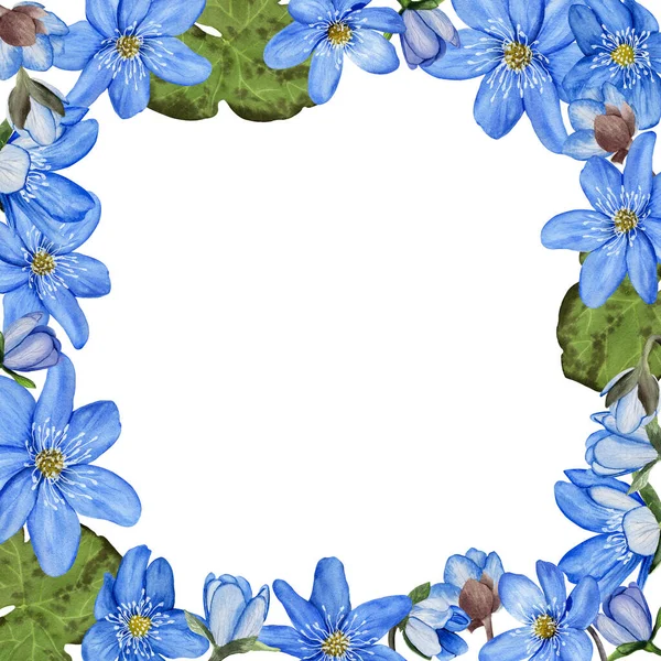Цветочная Рамка Печёночным Голубым Весенним Цветком Расцветает Рекламными Листьями Акварельная — стоковое фото
