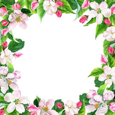 Elma ağacının çiçek açan çerçevesi. Suluboya botanik çizimler. El çizimi. Beyaz arka planda izole edilmiş. Tebrik kartları ve davetiyeler için çiçek unsurları.