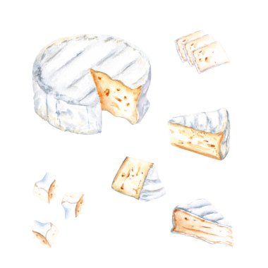 Brie, Camembert cheese block, slieces, bits set. Hand drawn food watercolor illustration isolated on white background. For clip art, package, label