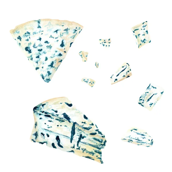 Blue Sheese Gorgonzola Roquefort Set Hand Drawn Watercolor Food Illustration — Stock fotografie