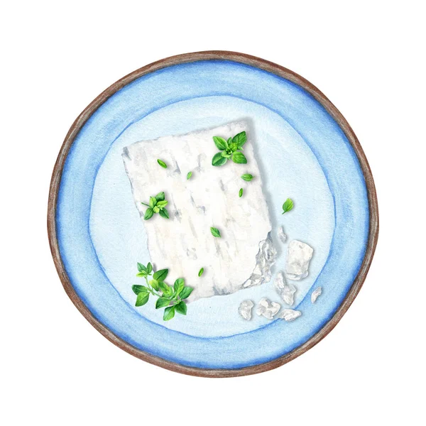 Feta Cheese Block Thyme Herb Composition Blue Plate Hand Drawn — Stockfoto