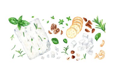 Peynir, fındık, kraker ve şifalı otlar. Beyaz arka planda izole edilmiş suluboya gıda illüstrasyonu. Klip sanatı için etiket.