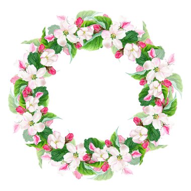 Elma ağacı açan çelenk. Suluboya botanik illüstrasyon. El çizimi. Beyaz arka planda izole edilmiş. Tebrik kartları, davetiyeler, düğün için çiçek unsurları.