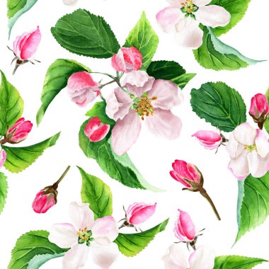 Seamless pattern with apple tree blooms, buds and leaves. Hand drawing watercolor illustration isolated on white background. Floral elements for wrapping, decor, textile, fabric.