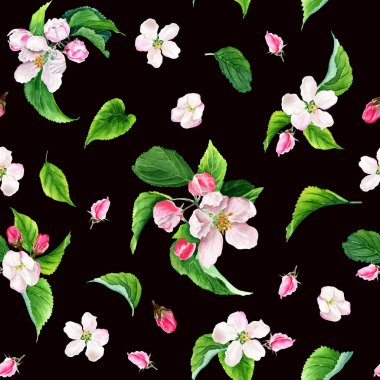 Seamless pattern with apple tree blooms, buds and leaves. Hand drawing watercolor illustration isolated on black background. Floral elements for wrapping, decor, textile, fabric.