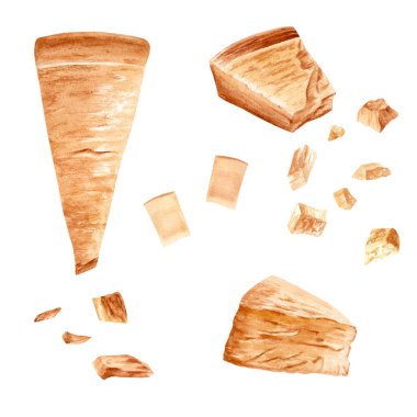 Parmesan peyniri seti. Beyaz arkaplanda el çizimi suluboya çizimi