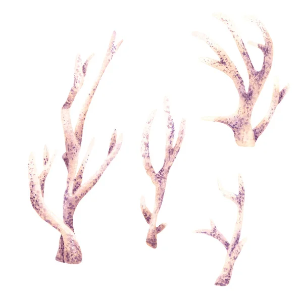 Ένα Σύνολο Θαλάσσιων Υποβρύχιων Κοραλλιών Χειροποίητη Ακουαρέλα Που Απομονώνεται Λευκό — Φωτογραφία Αρχείου