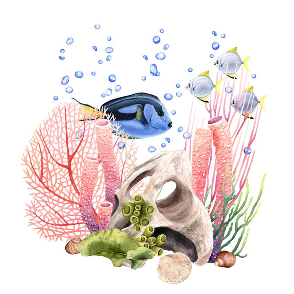 Underwater composition with corals, exotic fishes and shells. Hand drawn watercolor illustration isolated on white background. For clip art, cards, decor, package