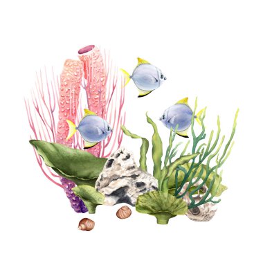 Suyun altındaki renkli mercan resifleri. Gümüş ay balığı ve egzotik balıklar. Beyaz arka planda elle çizilmiş suluboya çizimi. Klip sanatı, kartlar, dekor, paket için