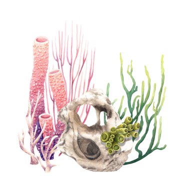 Suyun altında renkli mercan resifi bileşimi. Beyaz arka planda elle çizilmiş suluboya çizimi. Klip sanatı, kartlar, dekor, paket için